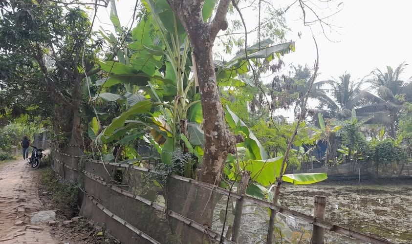 খুলনার মাথাভাঙ্গায় রাতের অন্ধকারে মোঃ হাসানের নেতৃত্বে ক্রয়কৃত সম্পত্তির সাইনবোর্ড ফেলে দিয়েছে