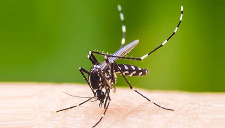 ডেঙ্গুতে প্রাণ গেল আরও ৫ জনের