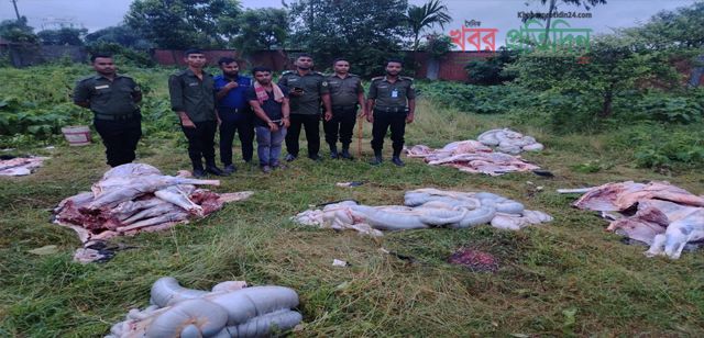 রূপগঞ্জের পূর্বাচলে জবাইকৃত ৫টি ঘোড়া উদ্ধার, একজন আটক