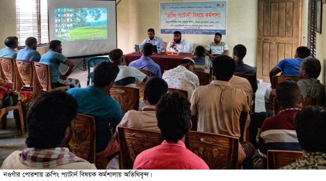পোরশায় ক্রপিং প্যাটার্ন বিষয়ক কর্মশালা