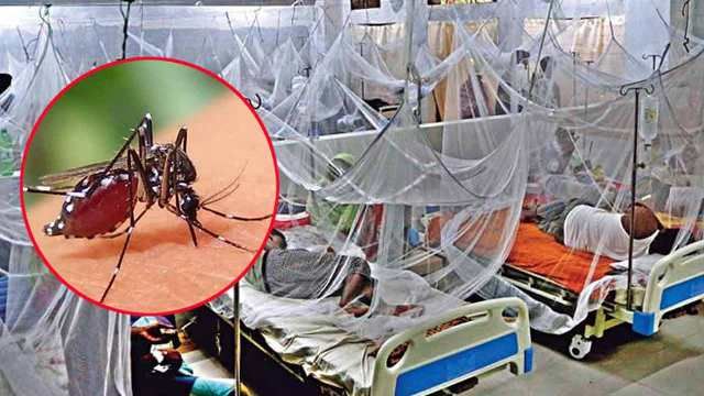 দেশে ডেঙ্গুতে আরও ৩ জনের মৃত্যু, হাসপাতালে ভর্তি ৪১২