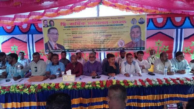 সুষ্ঠু নির্বাচন না হওয়া পর্যন্ত তারেক রহমানের নেতৃত্বে সজাগ থাকতে হবে: কে. এম মামুন অর রশিদ