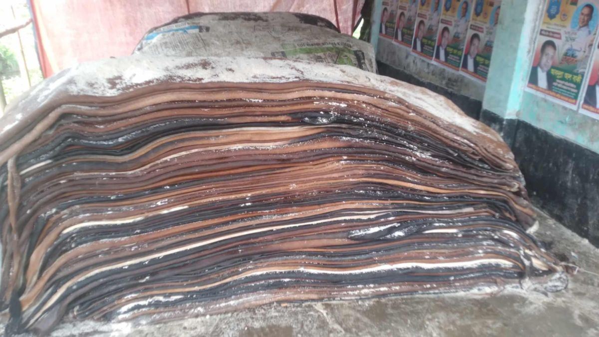 নবীনগরে সরকারি লবণ না পেয়ে হতাশ চামড়া ব্যবসায়ী বেলায়েত সরকার।