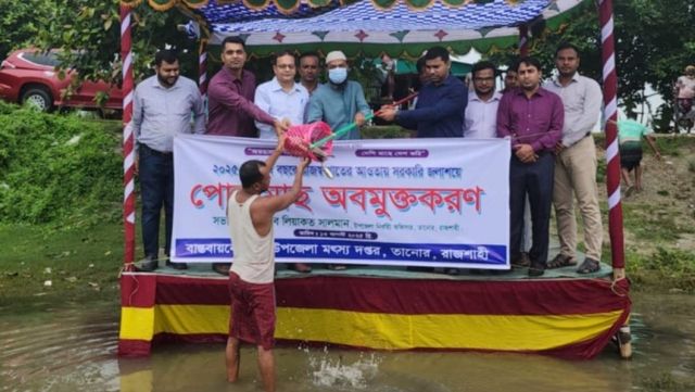 তানোরে বিলে ও পুকুরে পোনা মাছ অবমুক্তকরন