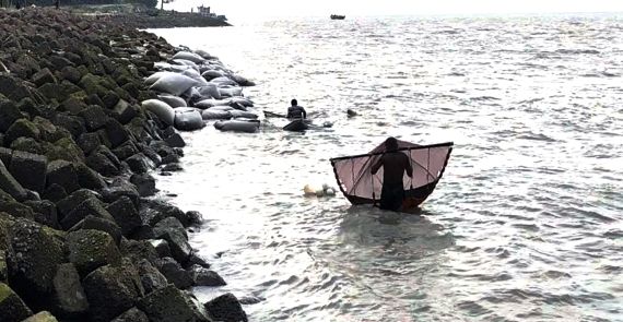ভোলায় অবাধে চলছে চিংড়ির রেণু শিকার, হুমকিতে বিভিন্ন প্রজাতির মাছ ও জলজ প্রাণী