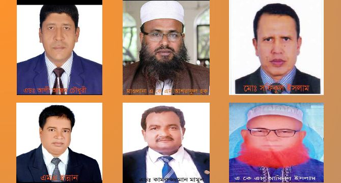 নাসিরনগর থেকে সংসদ নির্বাচনে লড়তে চান যারা