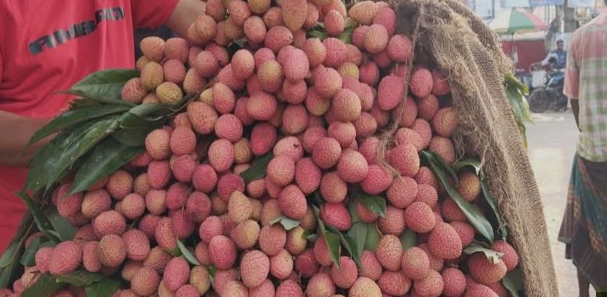সাতক্ষীরায় লিচুর নামে ক্রেতা ঠকানোর অভিযোগ
