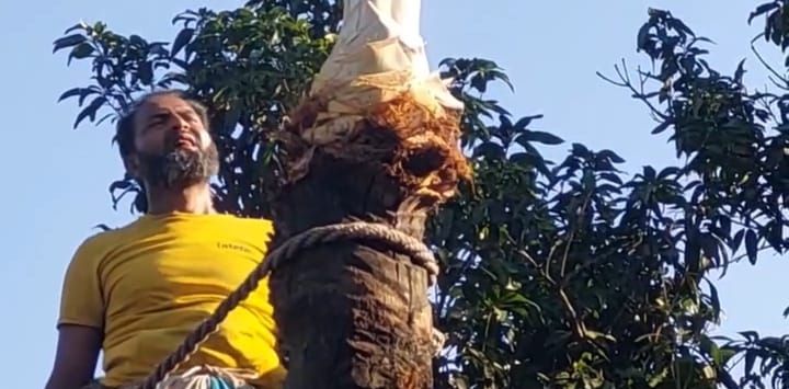 শীত মৌসুমে খেজুরের গাছ কেটে হত্যা করা কি ঠিক জাতি জানতে চায়