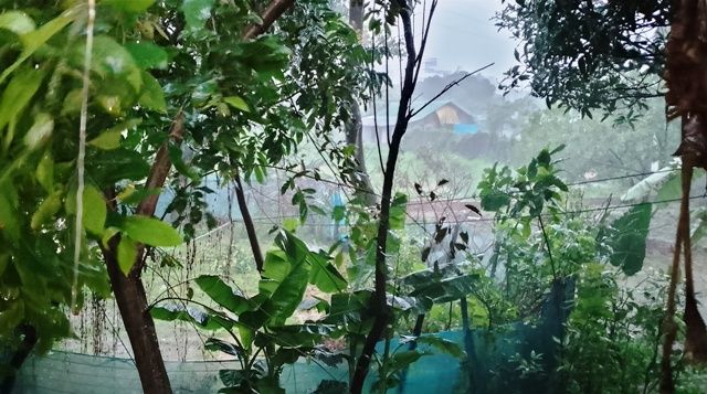 গভীর নিম্নচাপ উপকূল অতিক্রম করছে, ১৬ জেলায় জলোচ্ছ্বাসের শঙ্কা
