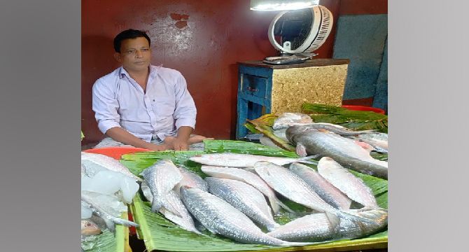 সৈয়দপুরে দুর্গাপুজা উপলক্ষে ইলিশের দাম চড়া  ক্রেতাদের মাঝে ক্ষোভ