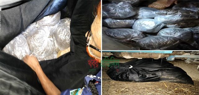 বড়াইগ্রামে গাঁজা কান্ড'৩০কেজি গাঁজাসহ আটক এক, ৭ কেজি দিয়ে মামলা !