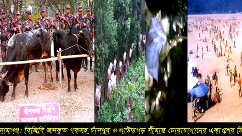 সুনামগঞ্জে চোরাচালান বাণিজ্য জমজমাট: ১৭ লক্ষ টাকার মালামাল জব্দ