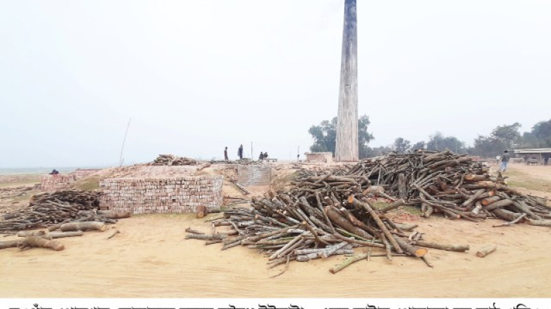 পোরশায় লোকালয়ে চলছে অবৈধ ইটভাটা