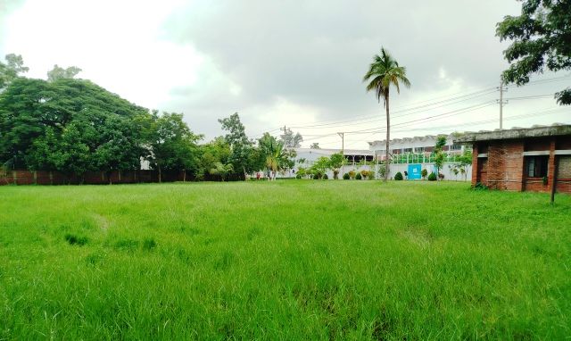 নিটার ক্যাফে ফিল্ডে সরীসৃপের আবাসস্থল, খেলার পরিবেশ নেই বর্ষায়