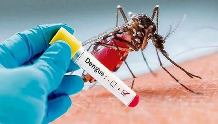 ডেঙ্গুতে প্রাণ গেল আরও ১ জনের