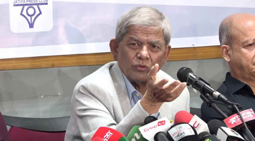 গণতান্ত্রিক রাজনৈতিক দল ছাড়া গণতন্ত্রকে প্রাতিষ্ঠানিক রূপ দেওয়া কঠিন: মির্জা ফখরুল