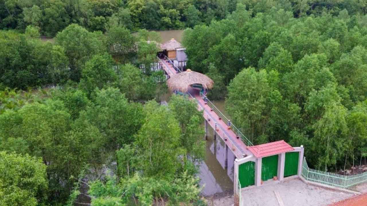 সুন্দরবনের ১০ কিমি এলাকায় শিল্পপ্রতিষ্ঠান স্থাপনে নিষেধাজ্ঞা