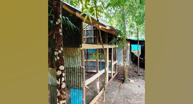 ঝালকাঠিতে জমি জমার বিরোধের জেরে ঘর ভাঙচুর: আইনের আশ্রয় নিলেন নিঃস্ব নারী