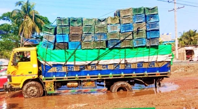 সাতক্ষীরা কালিগঞ্জ সদরে কালভার্ট নির্মাণে অনিয়ম : বাইপাস  সড়কে যাত্রীবাহী ও মালবাহী   গাড়ি আটকে চলাচলে  জনসাধারণের চরম দুর্ভোগ
