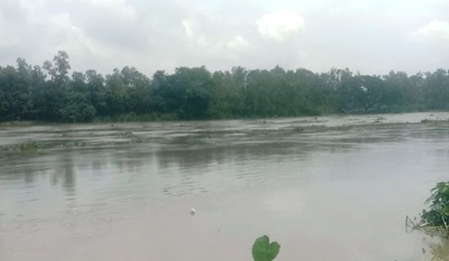 পানিবন্দি ৫০০ পরিবার আত্রাই নদের পানি বিপদ সীমার ৩৭ সেন্টিমিটার ওপর দিয়ে প্রবাহিত হচ্ছে
