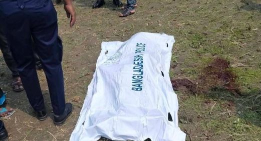 জামালপুরে চাচাকে কুপিয়ে হত্যা করেছে ভাতিজা