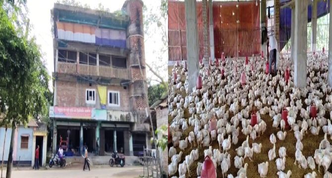 হিলির আবাসিক এলাকায় ৪ তলা ভবনে মুরগির খামার,  স্বাস্থ্য ঝুঁকিতে প্রতিবেশীরা