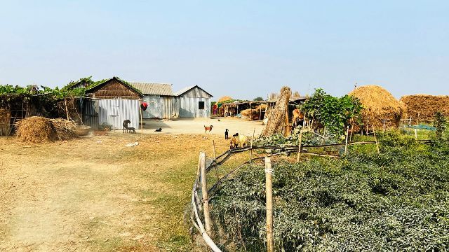 ঋতুর সাথে পেশা বদল ও বঞ্চনার শিকার তবুও দুর্গম যমুনার চর ছাড়তে নারাজ স্থানীয়রা