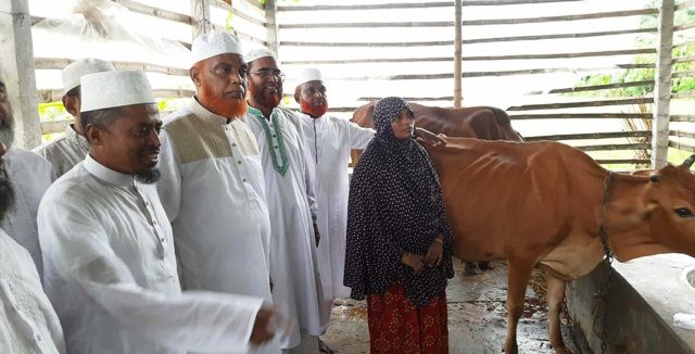 মাগুরার আলোচিত আছিয়ার পরিবারকে দুটি গাভী উপহার দিলেন জামায়াত