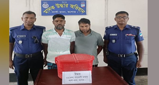 যশোরের শার্শায় তক্ষক সাপসহ দু'পাচারকারী আটক