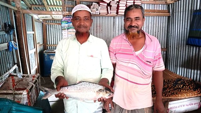 ভোলায় জেলেদের জালে ধরা পড়ল রাজা ইলিশ