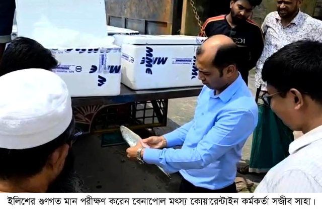 দুর্গাপূজা উপলক্ষে ভারতে ৮ দিনে গেল ১০২মেট্রিকটন ইলিশ