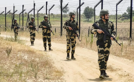 দর্শনা সীমান্তে বাংলাদেশি যুবক আটক: স্থানীয়দের মারধরের অভিযোগ, বিজিবির দাবি ভিন্ন