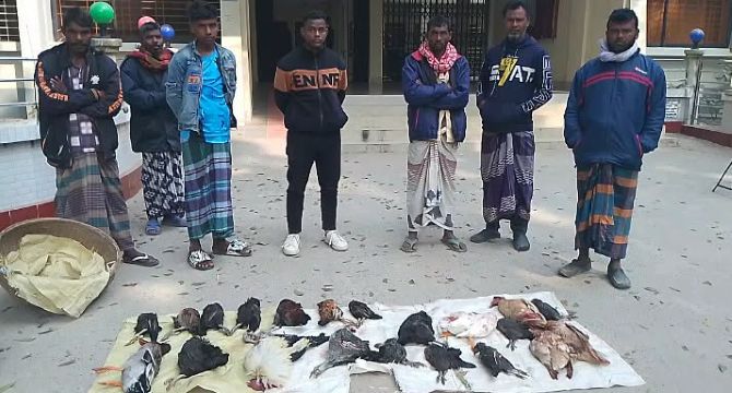 তানোরে ভাতের সাথে বিষ মিশিয়ে নির্বিচারে হাঁস মুরগী মেরে ফেলার অভিযোগ