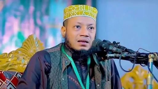 সংসদ সদস্য আমির হামজার বিরুদ্ধে গ্রেপ্তারি পরোয়ানা জারি