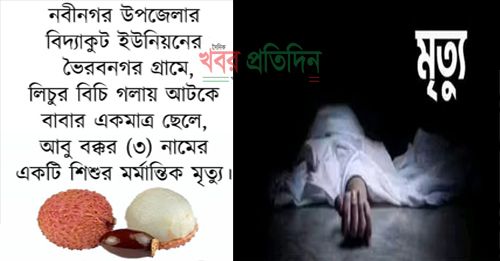 নবীনগর ভৈরবনগর গ্রামে গলায় লিচুর বিচি আটকে শিশুর মৃত্যু