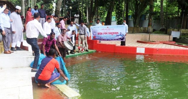 জাতীয় মৎস্য সপ্তাহ উদযাপন উপলক্ষে মাছের পোনা অবমুক্তকরণ