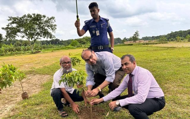মাগুরায় সরকারি খাসজমিতে লিচু বাগান উদ্বোধন করলেন শিল্প সচিব
