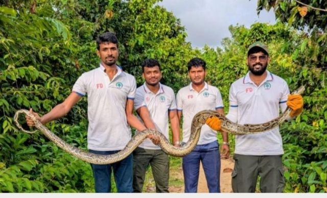 উখিয়ায় লোকালয় থেকে ১০ ফুট দৈর্ঘ্যের অজগর উদ্ধার