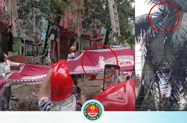 ৪৮ ঘন্টা আটকে থাকার পর যেভাবে উদ্ধার করা হলো আটকে পড়া বিড়াল