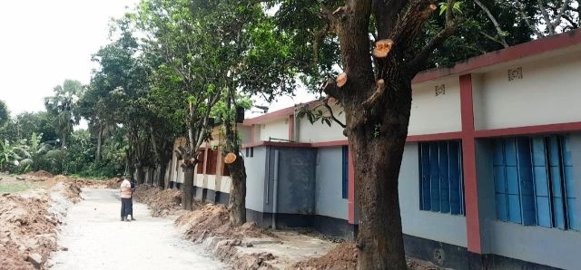 তানোরে খেলার মাঠ দখল ও গাছ কেটে রাস্তা নির্মানের অভিযোগ