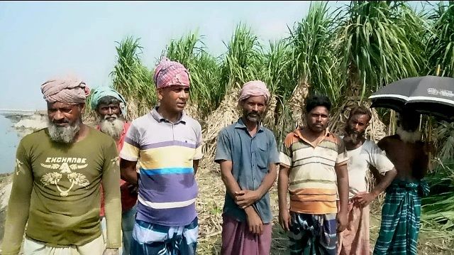 ইসলামপুরে অসময়ে যমুনা নদীর তীব্র ভাঙনে দিশেহারা আখচাষীরা