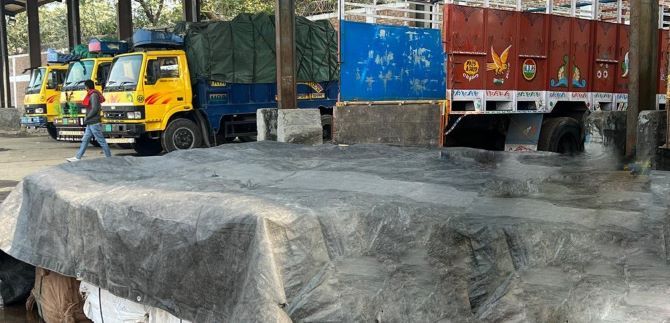 ভারত থেকে আসা ৬ টন ইলিশ বেনাপোল বন্দরে জব্দ